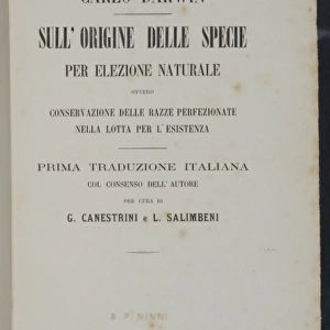 The Origin of Species title page - Italian version