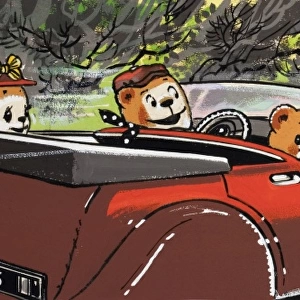 Teddy bears driving home