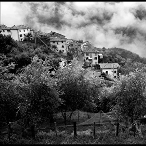 View of hilltop village Bennabio olive trees and mist Italy