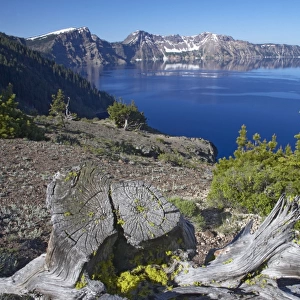Crater Lake with Dead Trees in foreground Lake is 1, 943 feet deep, deepest in the USA Crater Lake National Park Oregon, USA LA000672