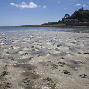 Lugworm casts - photographed at low tide with St Michael's Mount in the background. Cornwall, England