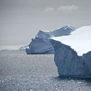 Antarctic icebergs C013 / 7494