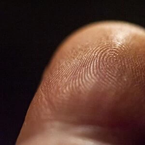 Dermal ridges on fingertip C015 / 3467