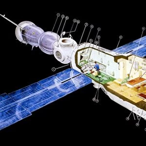 Diagram of Mir space station