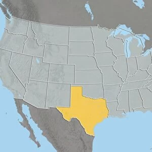 Texas, USA, relief map