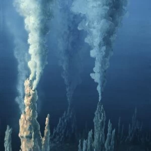 White smoker hydrothermal vents, artwork C016 / 5350