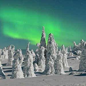 Aurora borealis over ice sculptures in Finnish Lapland, Riisitunturi National Park, Posio, Lapland, Finland