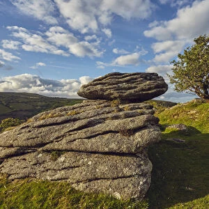 A classic Dartmoor scene, a granite boulder and wind-gnarled hawthorn tree, on Bench Tor