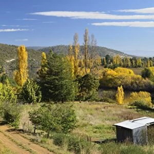 Countryside in fall, Derwent Valley, near New Norfolk, Tasmania, Australia, Pacific