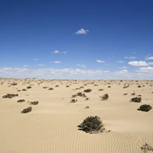 Desert between Moroccan border and Nouadhibou