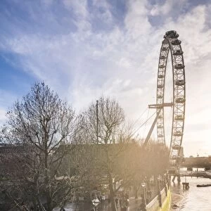 London Eye (Millennium Wheel) at sunset, London Borough of Lambeth, England, United Kingdom