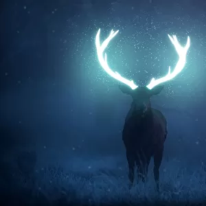 A mystical red deer stag stands his ground
