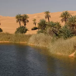Picturesque orange Dunes of Ubari Oasis, Sahara Desert, Libya, North Africa, Africa
