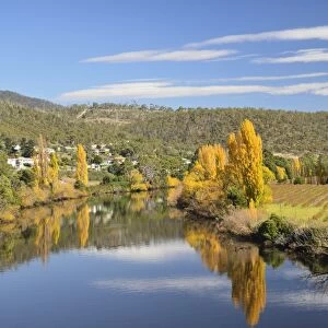 River Derwent near New Norfolk, Tasmania, Australia, Pacific