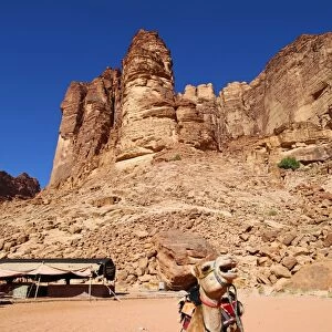 Camel beside rock formations of Lawrences Spring in the desert at Wadi Rum, Jordan