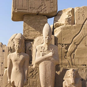 Egypt, Luxor, Karnak Temple, Colossi in Temple of Amun