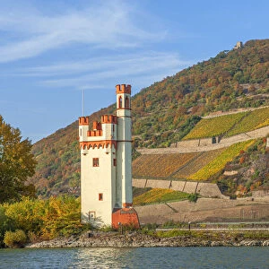 Mauseturm and Ehrenfels castle with river Rhine, Rhine valley, UNESCO World Heritage site, Rhineland-Palatinate, Germany