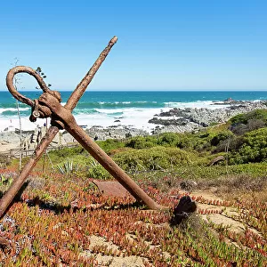 Old rusty anchor in garden by sea, Pablo Neruda Museum, Isla Negra, El Quisco, San Antonio Province, Valparaiso Region, Chile