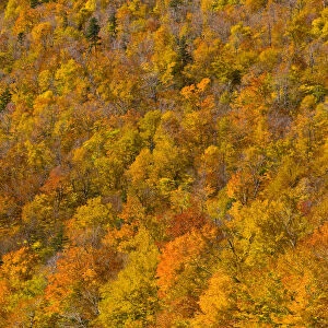 USA, New Hampshire, White Mountain National Park