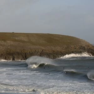 Surfing, Broad Haven South, Pembrokeshire, Wales, UK, Europe