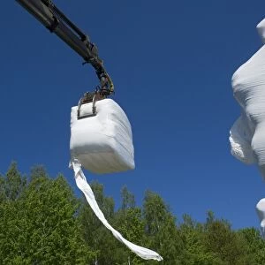 Plastic wrapped silage bales, loaded onto truck with mechanical grabber, Sweden, may