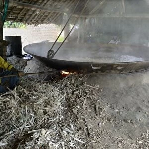Sugarcane (Saccharum officinarum) crop, juice being boiled in kiln for preparing jaggary, fuel is sugarcane chaff