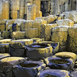 Colorful lichen forms on the basalt columns at the Giants Causeway, Antrim Coast