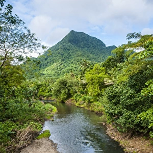 Little creek, Upolo, Samoa, South Pacific