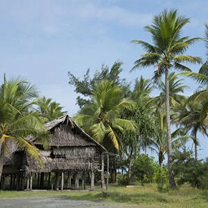 Melanesia, Papua New Guinea, Sepik River area, Murik Lakes