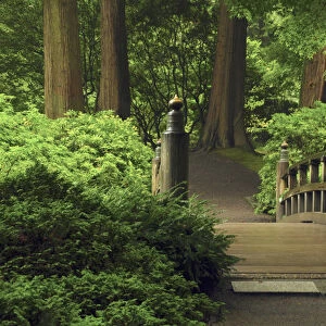 Moon Bridge after the Rain: Portland Japanese Garden, Portland, Oregon, USA