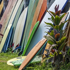 Surfboards and bodyboards, Kauai, Hawaii, USA