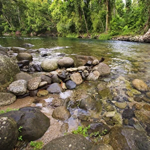 The upper reaches of Babinda Creek is a popular spot for swimming in far north Queensland