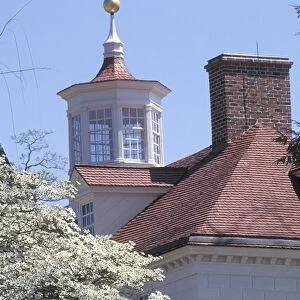 Mount Vernon rooftops