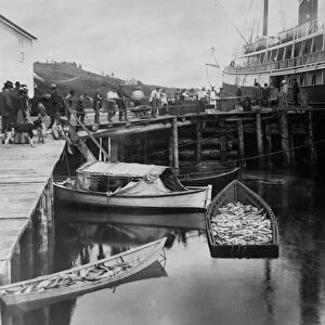 ALASKA: FISHING BOAT, 1889. The expedition vessel, George W