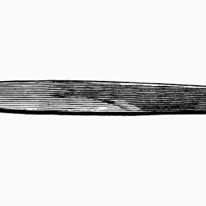 ANCIENT ROMAN SWORD. Bronze Roman sword. Line engraving