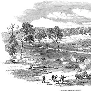 AUSTRALIAN GOLD RUSH, 1852. The Golden Point at Ballarat, Australia, during the gold rush. Wood engraving from an English newspaper of 1852