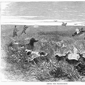 GROUSE HUNTING, 1871. Among the prairie-hens. Wood engraving, American, 1871