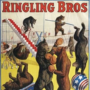 Ringling Bros 1900s bears performing entertainers brothers