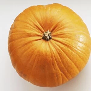 Cucurbita pepo, Pumpkin, view from above