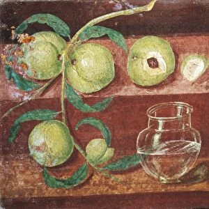Italy, Naples, Still Life with Peach Branch, Fresco from Pompei