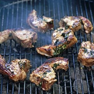 Moroccan spicy lamb chops with mint and coriander, on barbecue grill