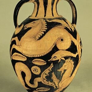 Red-figure amphora depicting sea animals