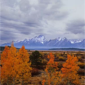 Autumn in the Grand Teton National Park, Wyoming, United States