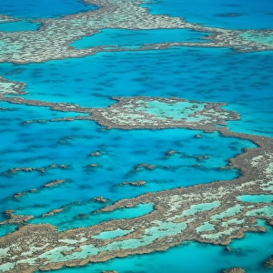 The Big Reef, Whitsunday Islands, Australia