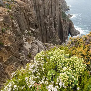 Cliffs at Cape Raoul on Tasman Peninsula, Tasmania