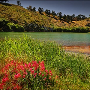 Crater lake, a smaller body of water within the nature reserve of the Blue Lake, Mount Gambier, South Australia