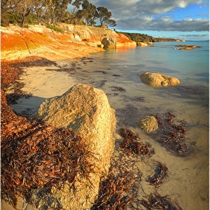 Fotheringate beach at Trousers Point, Lacota, Flinders Island, Bass Strait, Tasmania