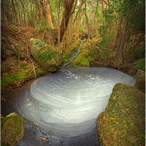 Fotheringate creek and rainforest, Lacotta, Flinders Island, Bass Strait, Tasmania, Australia