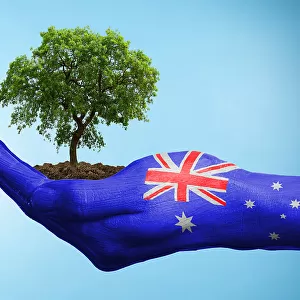 Hand with flag of Australia holding a tree