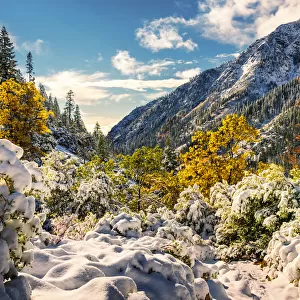 Heavy snowfall at Trinity Alps, California